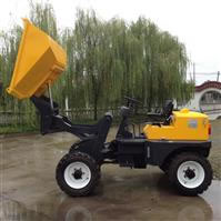 Dumper site SD10